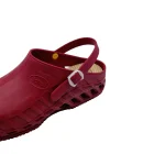 Clog Evo Scholl ciabatte professionali vinaccia cinturino posteriore