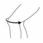 Circonferenza centro rotula