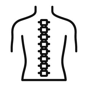 icona busti e supporti per il tronco