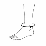 Circonferenza caviglia