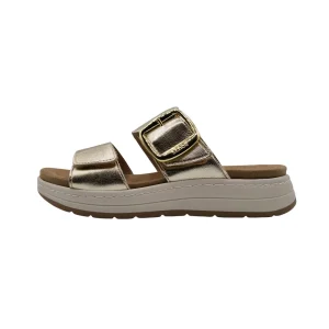 Ciabatte donna plantare memory cushion Dr Scholl Scilla 2 straps oro vista laterale